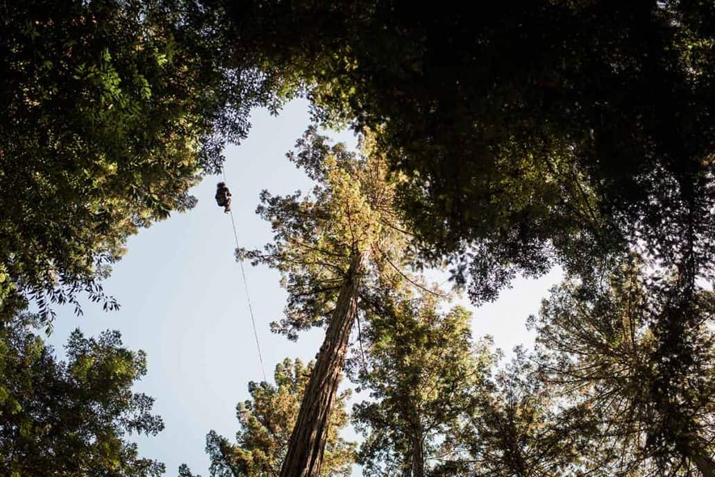 canopy adventure zip line tours