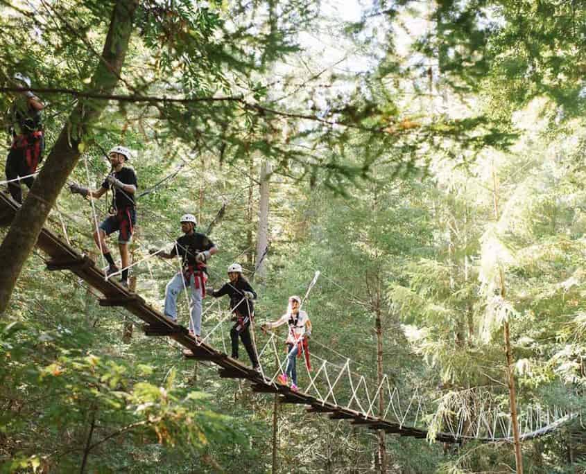 Forest Flight Zipline Tour Zip Lines In The Redwood Canopy