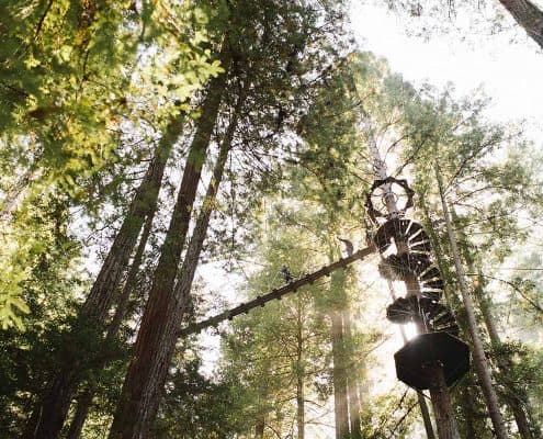 zipline staircase