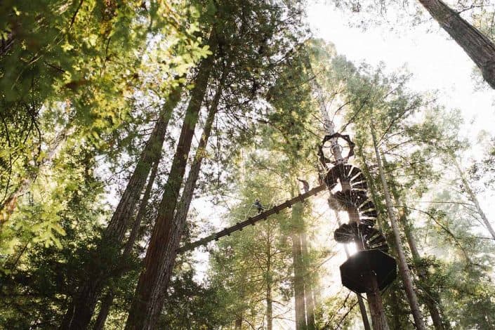 zipline staircase