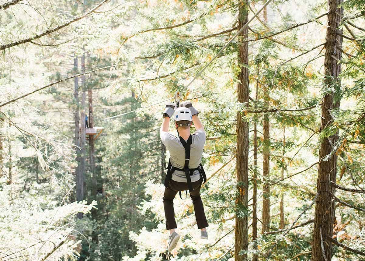 Tree Tops Zipline Tour 7 Zip Lines & 2 Sky Bridges