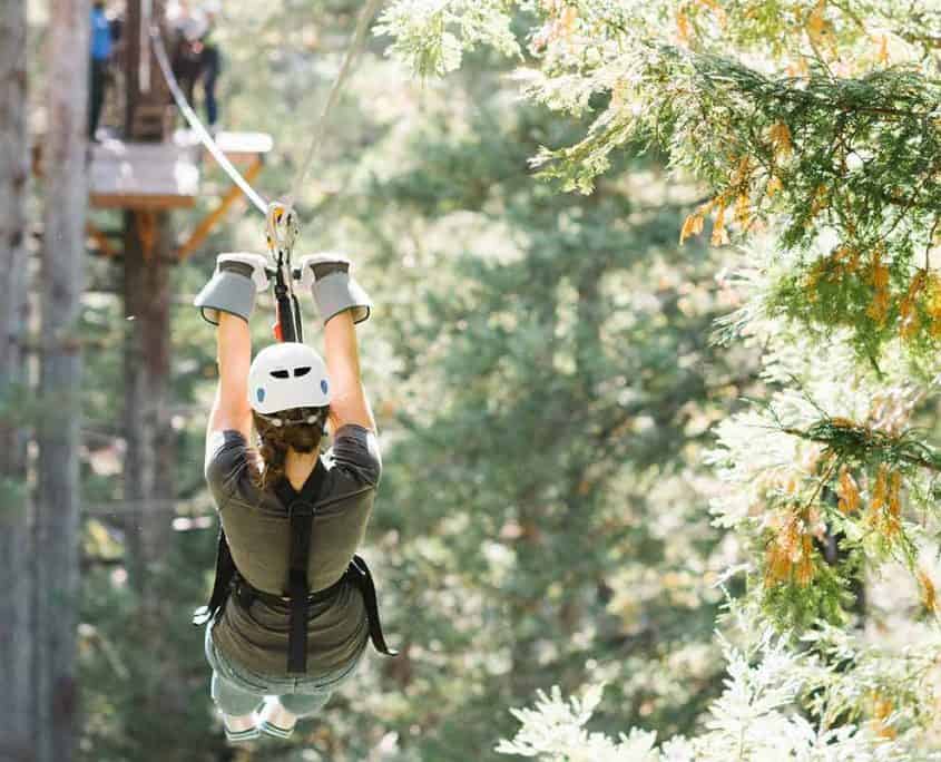 Tree Tops Zipline Tour 7 Zip Lines & 2 Sky Bridges