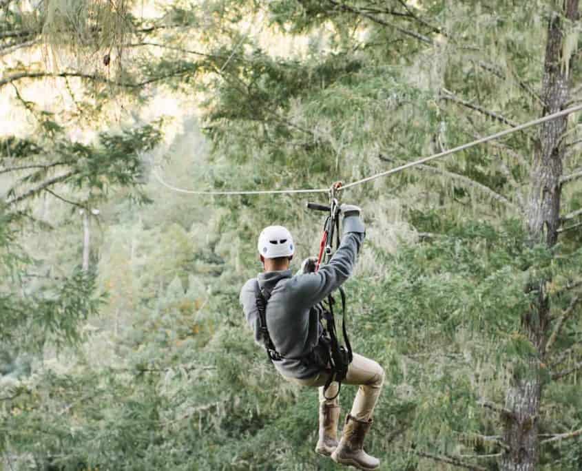 Tree Tops Zipline Tour 7 Zip Lines & 2 Sky Bridges