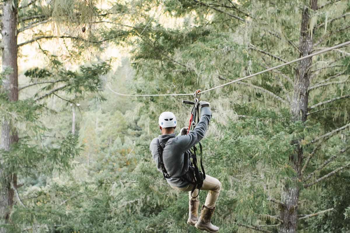 Tree Tops Zipline Tour 7 Zip Lines & 2 Sky Bridges