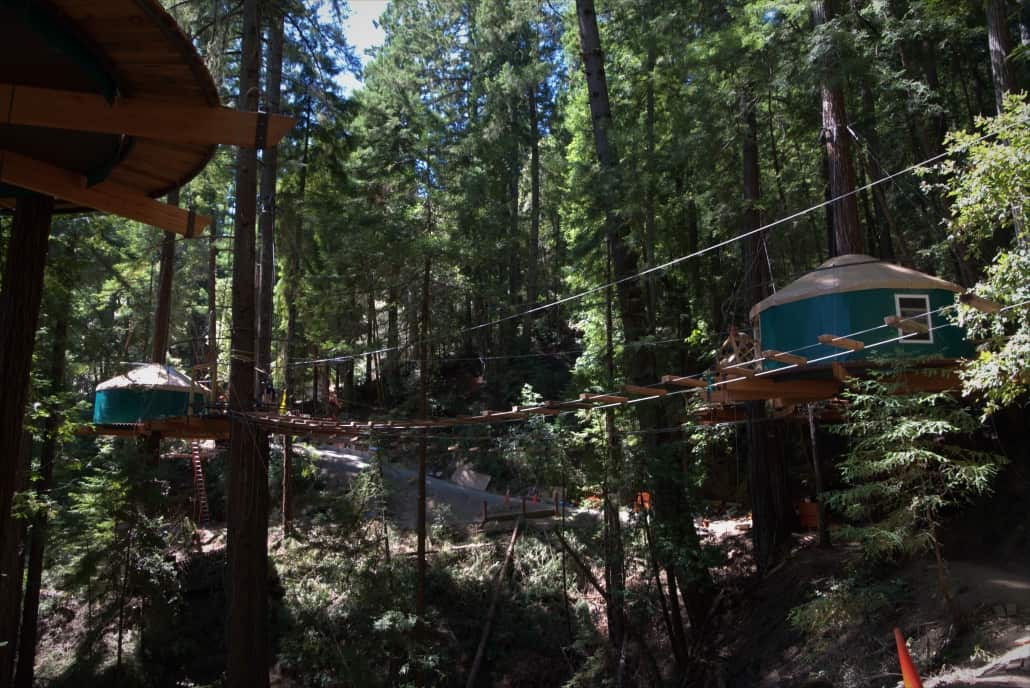 sonoma canopy tours reviews