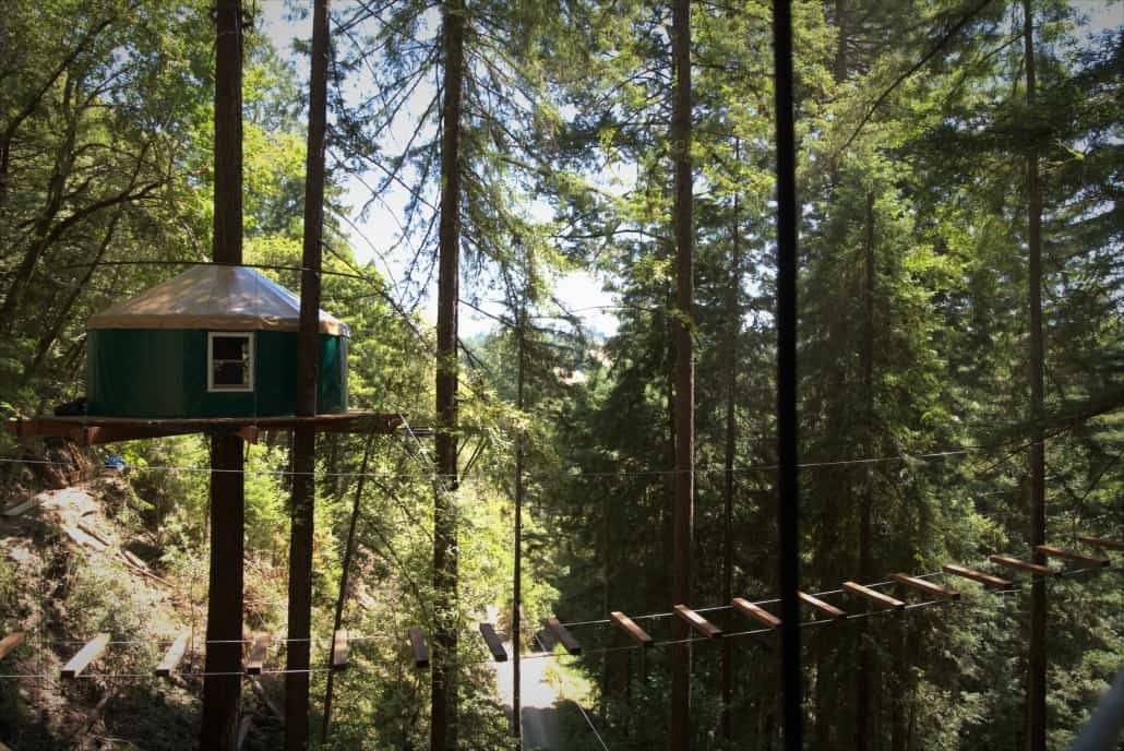 Canopy Tours | Zipline Adventure | Sonoma Zipline Adventures