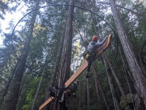 Treehouse safety building