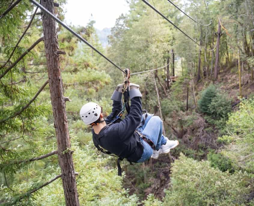 Tree Tops Zipline Tour 7 Zip Lines & 2 Sky Bridges
