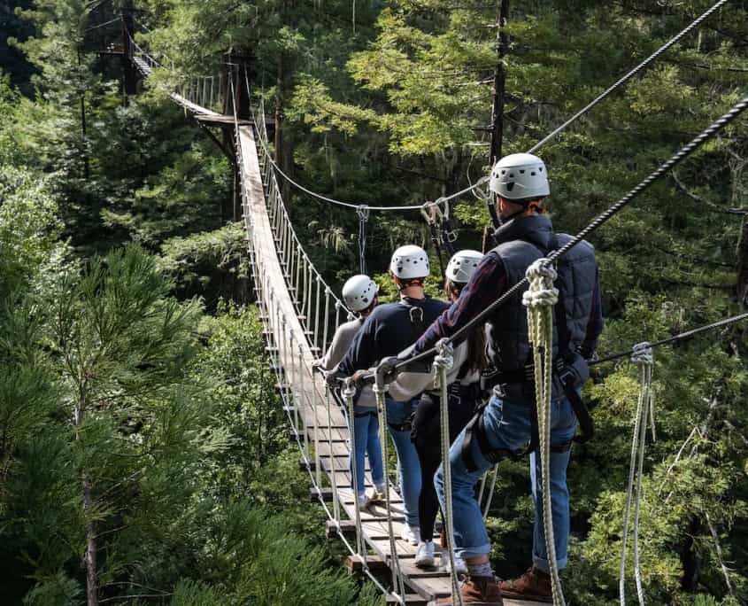 Tree Tops Zipline Tour 7 Zip Lines & 2 Sky Bridges