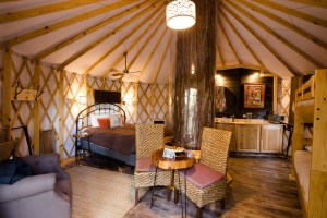 Glamping done right! The gorgeous luxury interior of a tree top yurt at Sonoma Treehouse Adventures. 