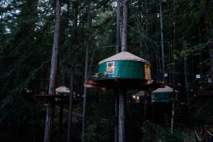 Glamping-style yurts suspended high in the trees at Sonoma Treehouse Adventures! 